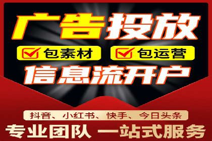 专业SEM托管助力企业快速成长案例分析